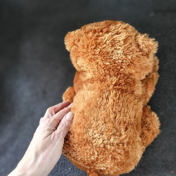 Kohl's Cares Teddy Bear Plush Stuffed Animal 9" Brown World Of Eric Carle Toy - Picture 6 of 7